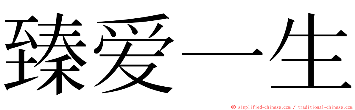 臻爱一生 ming font