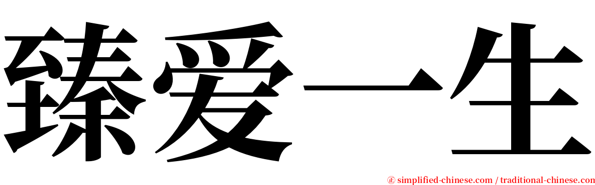 臻爱一生 serif font