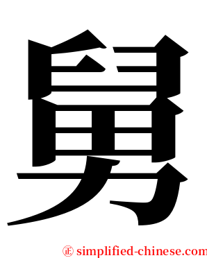 舅 serif font