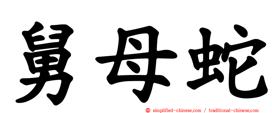 舅母蛇