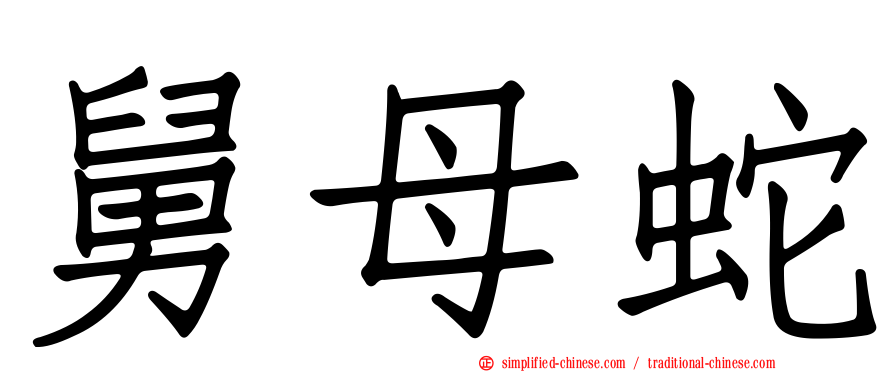 舅母蛇