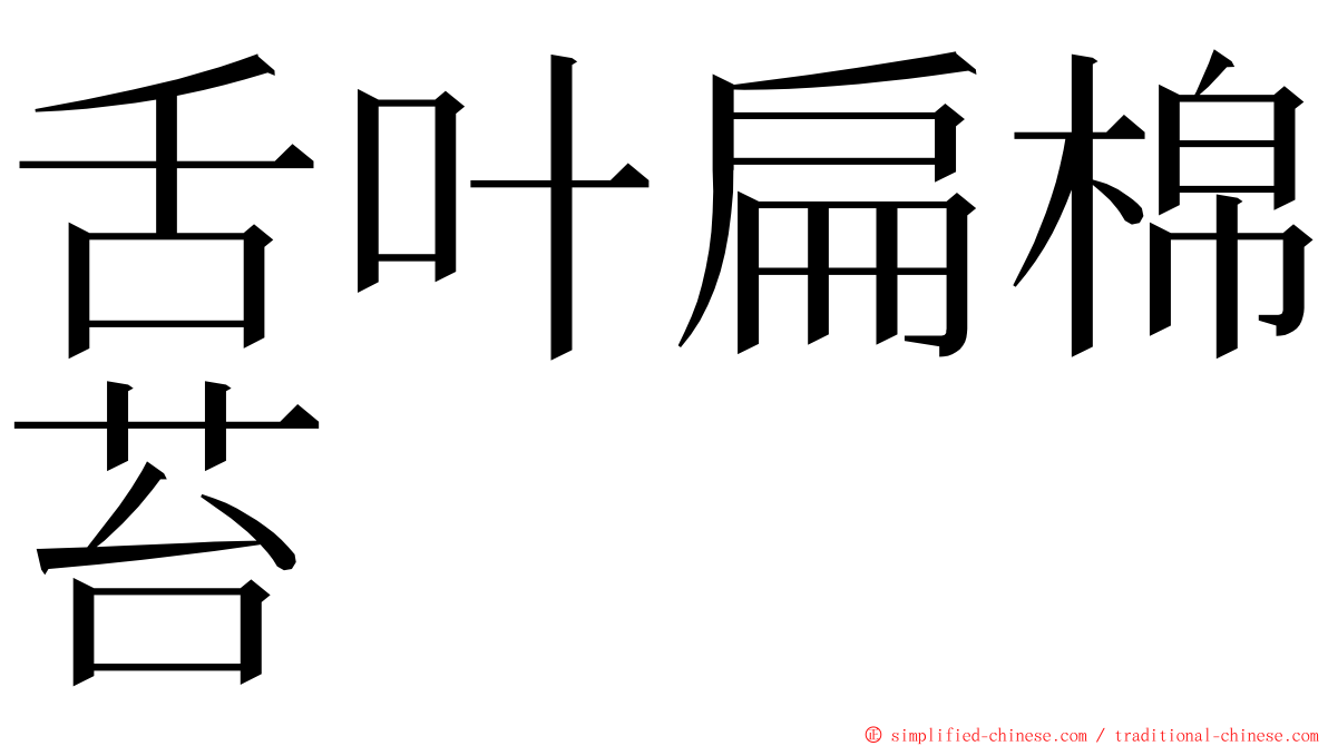 舌叶扁棉苔 ming font