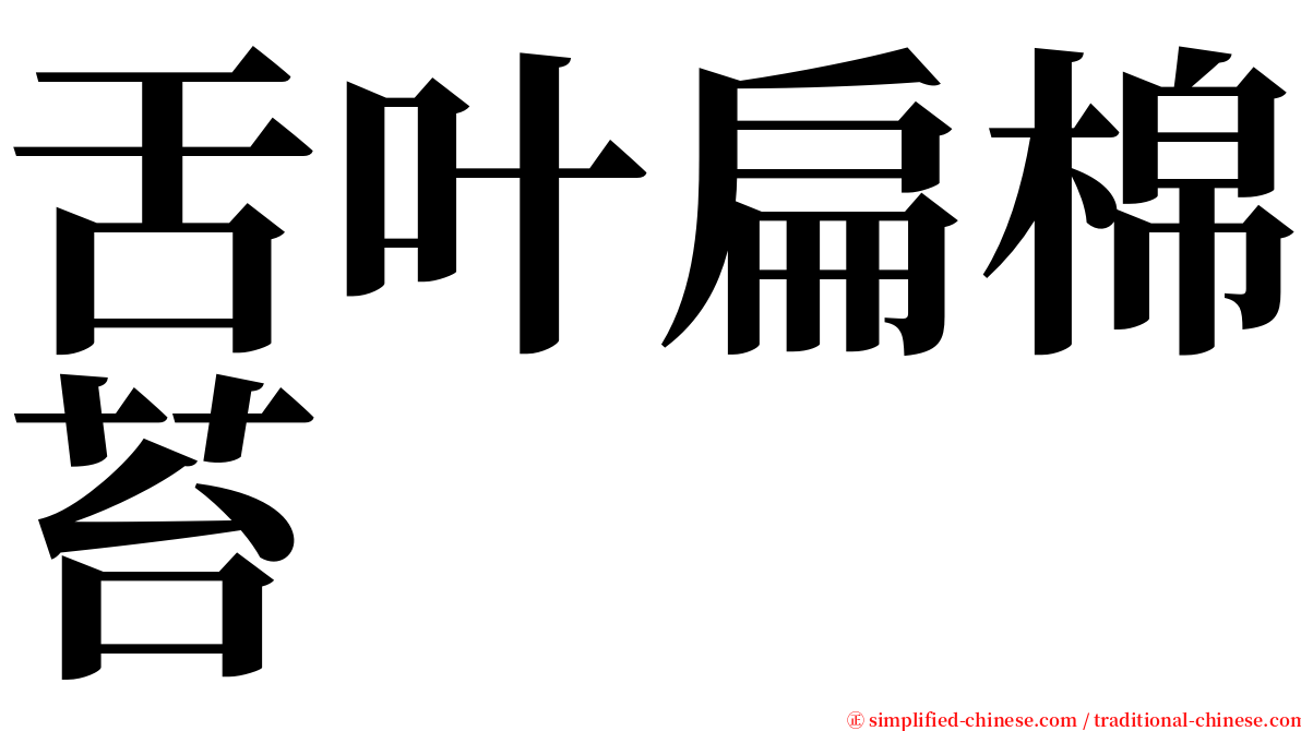 舌叶扁棉苔 serif font