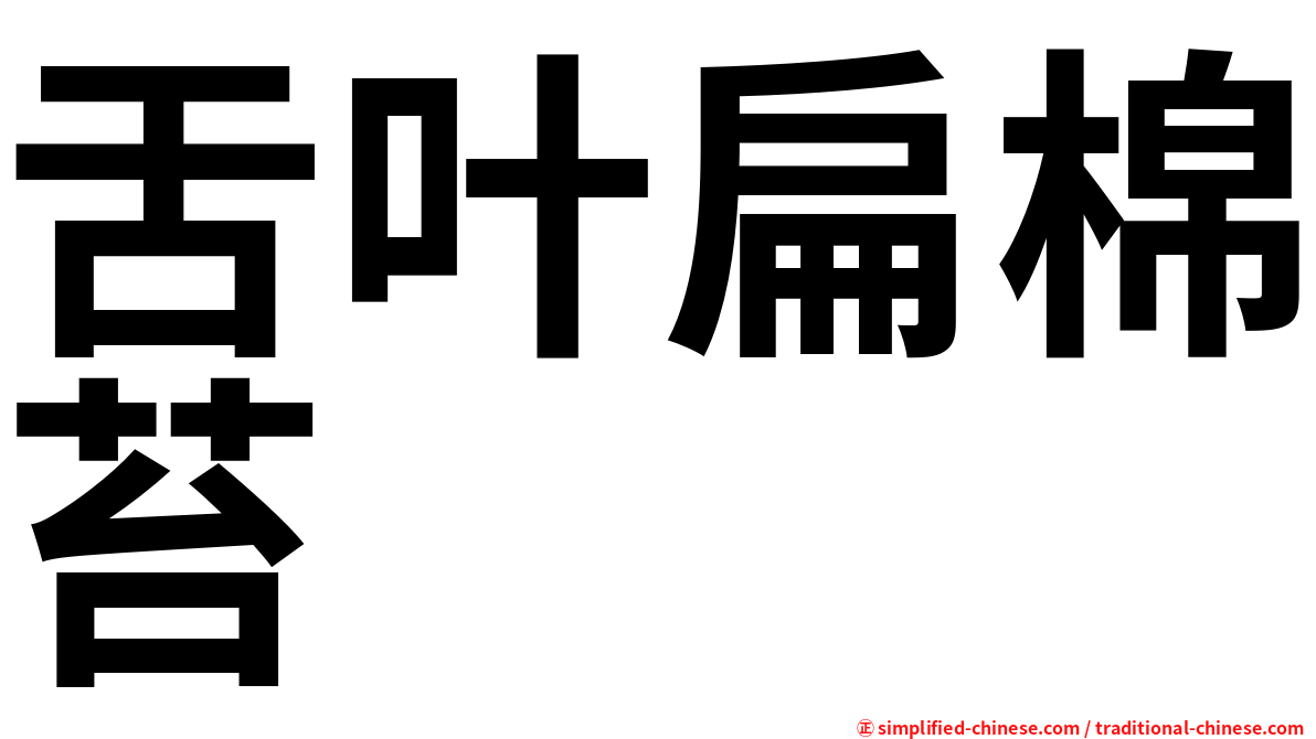 舌叶扁棉苔