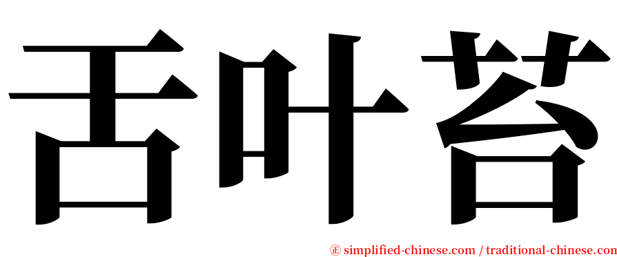舌叶苔 serif font