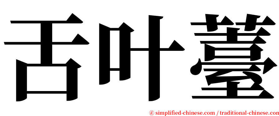 舌叶薹 serif font
