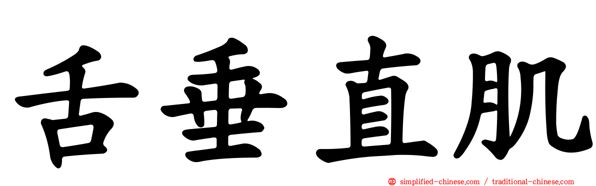 舌垂直肌