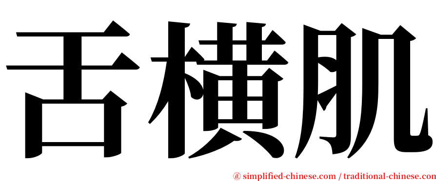 舌横肌 serif font