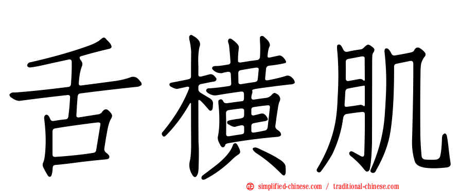 舌横肌