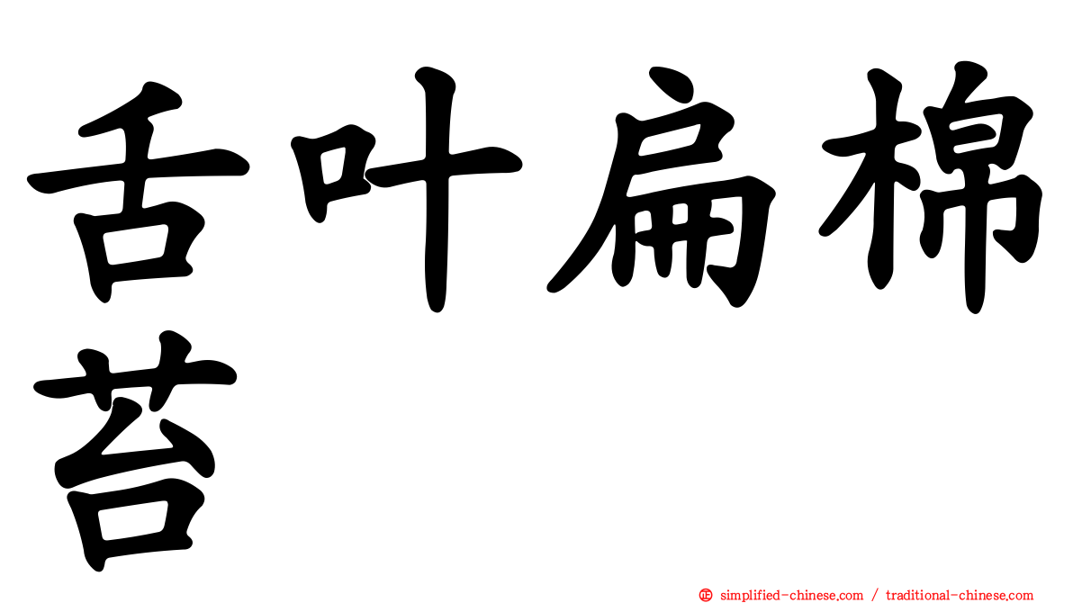 舌叶扁棉苔