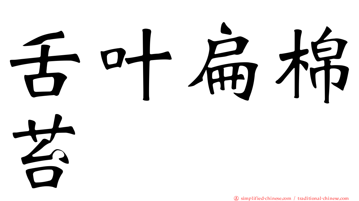 舌叶扁棉苔