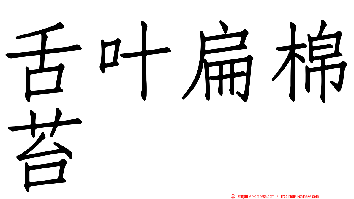 舌叶扁棉苔