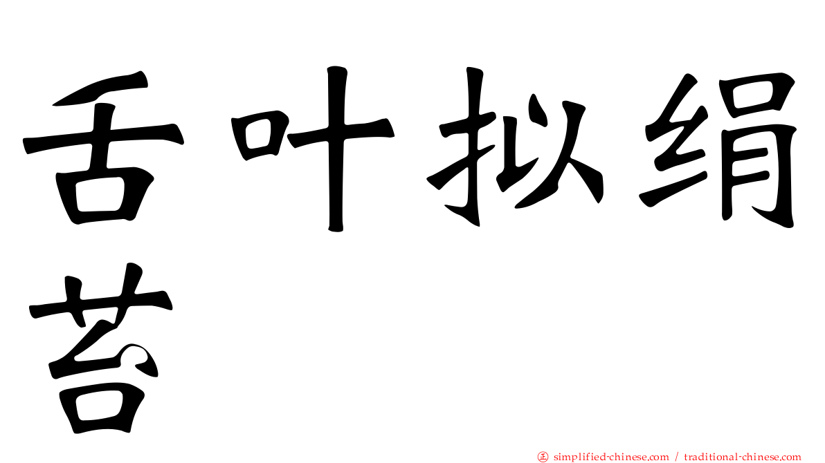 舌叶拟绢苔
