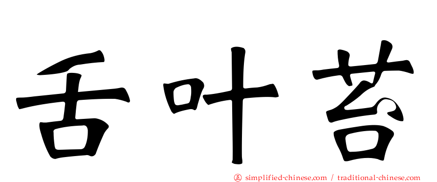 舌叶苔