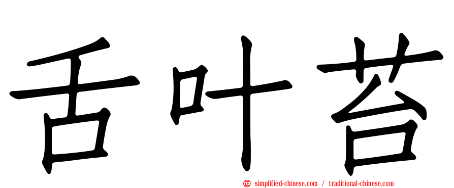 舌叶苔
