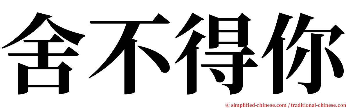 舍不得你 serif font