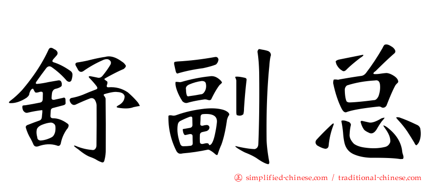 舒副总