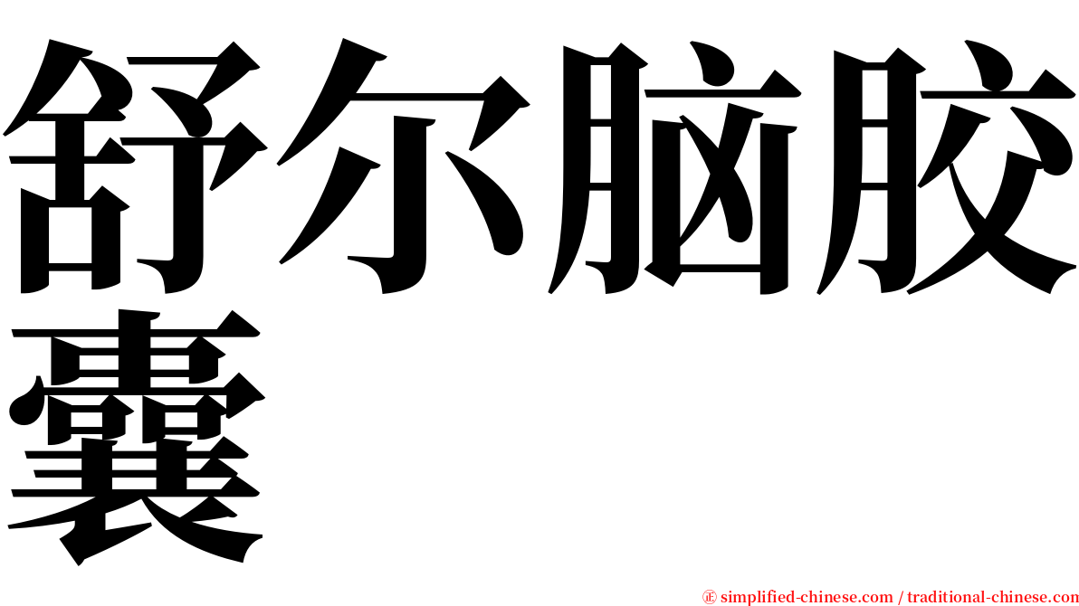 舒尔脑胶囊 serif font