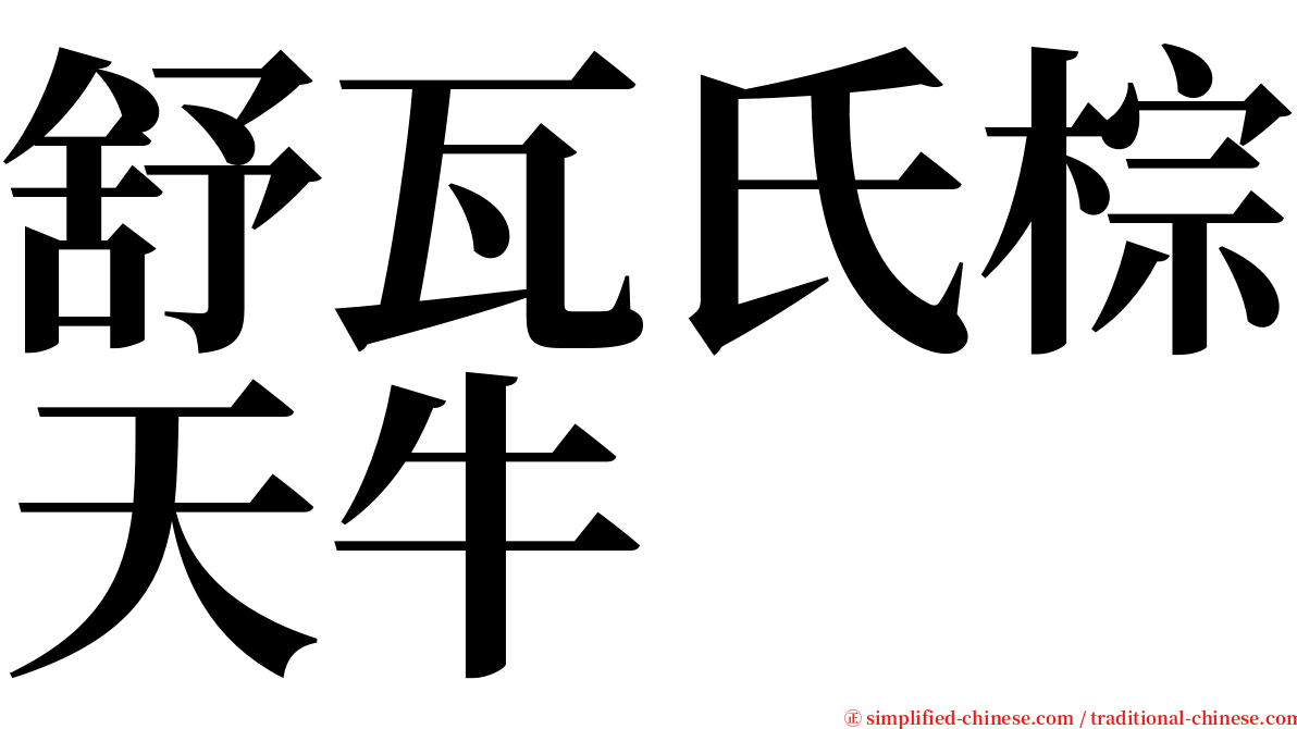 舒瓦氏棕天牛 serif font