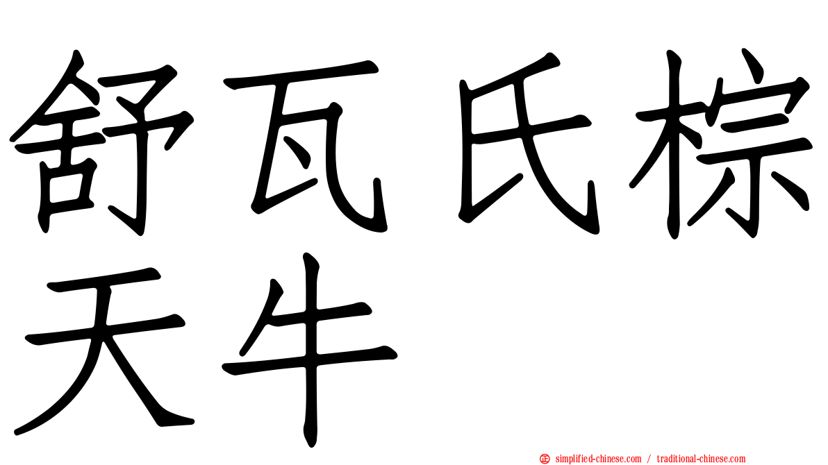 舒瓦氏棕天牛
