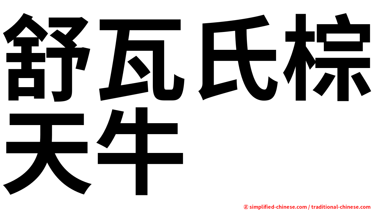 舒瓦氏棕天牛