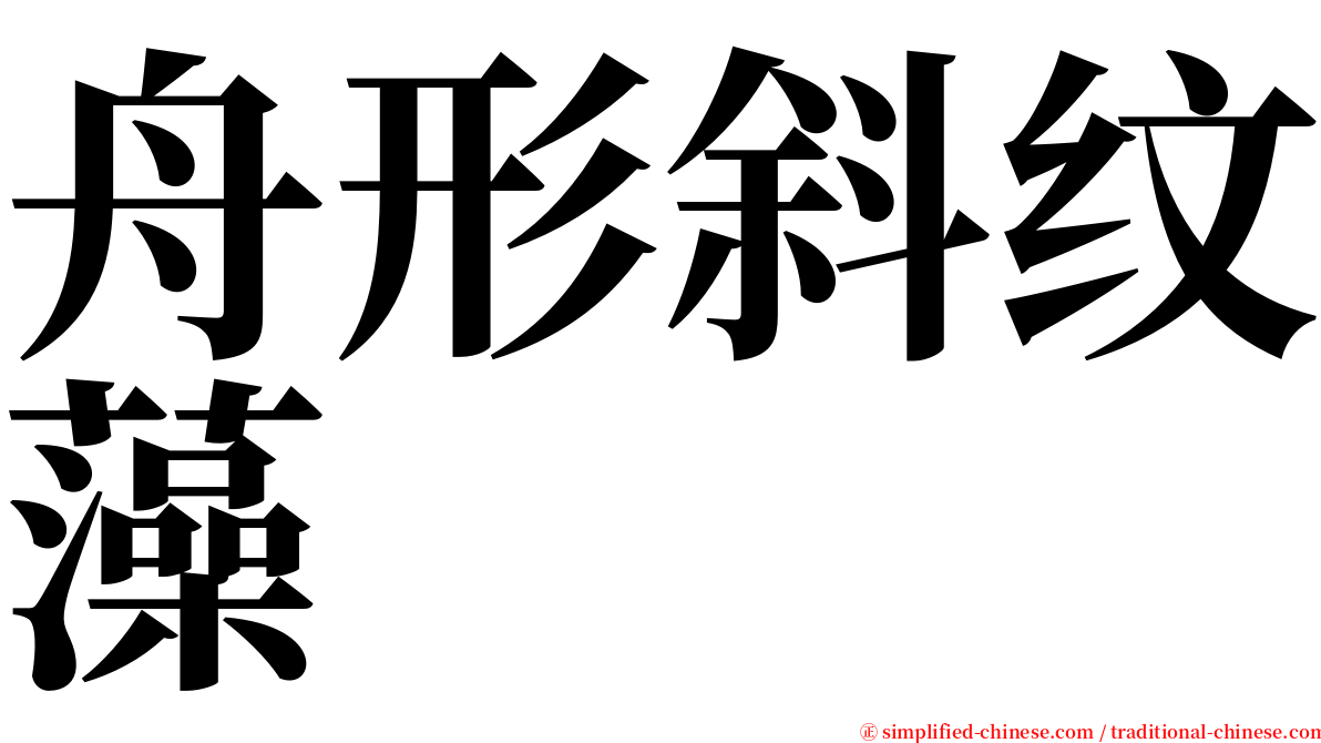 舟形斜纹藻 serif font