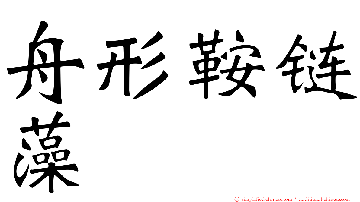 舟形鞍链藻