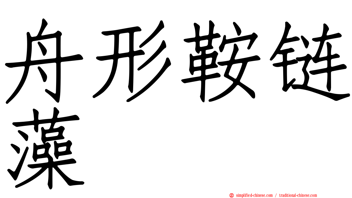 舟形鞍链藻
