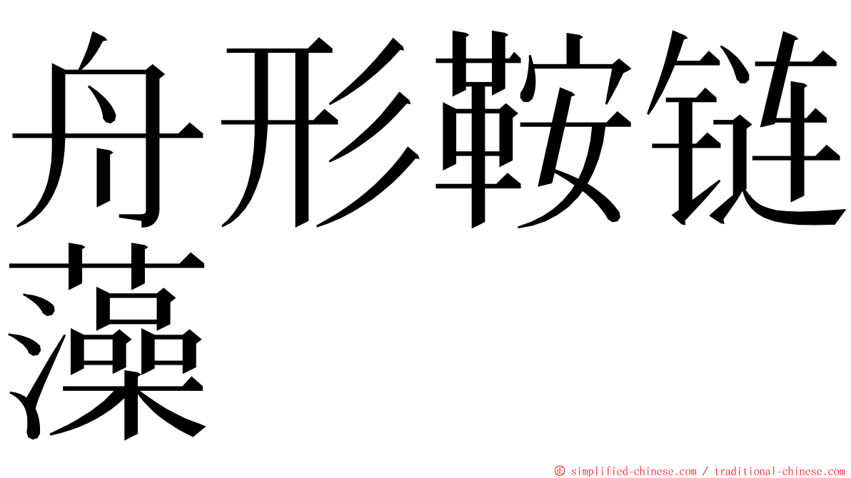 舟形鞍链藻 ming font