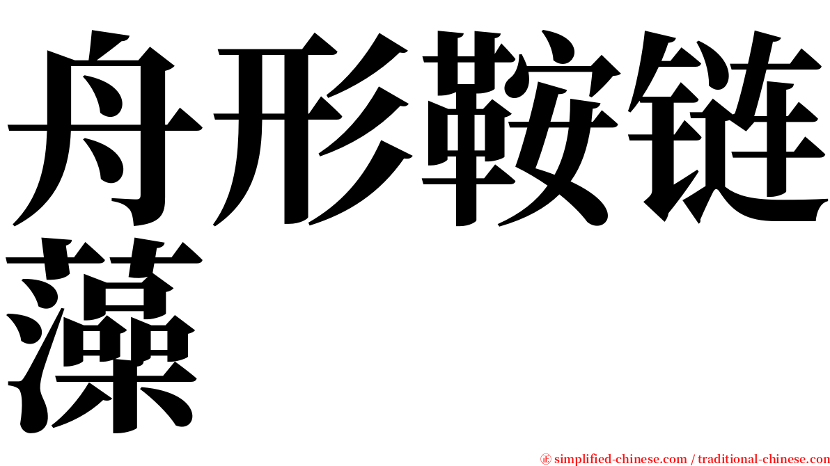 舟形鞍链藻 serif font