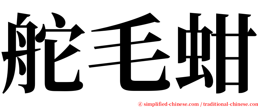 舵毛蚶 serif font