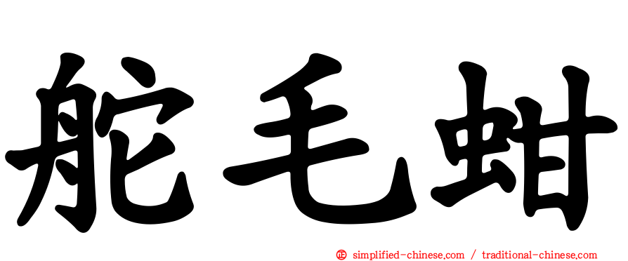 舵毛蚶