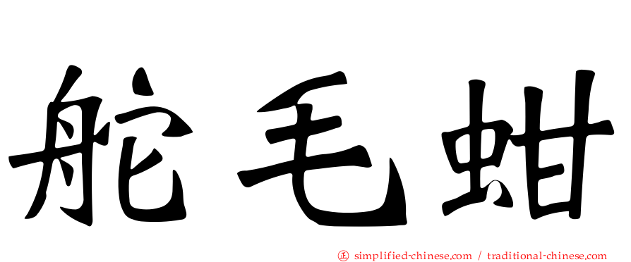 舵毛蚶