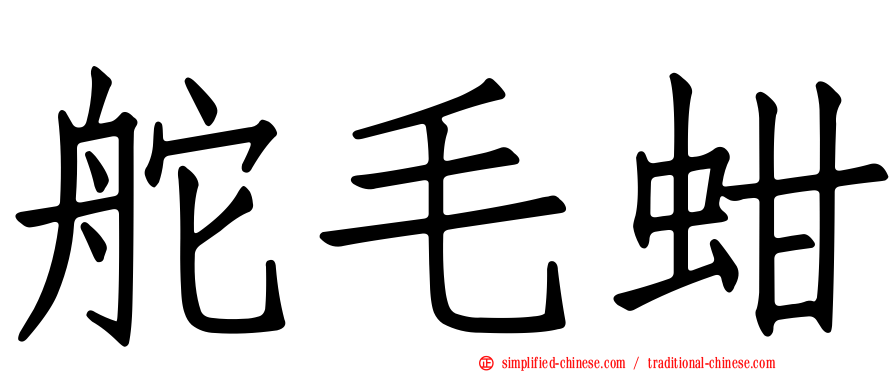 舵毛蚶