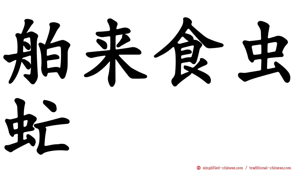 舶来食虫虻