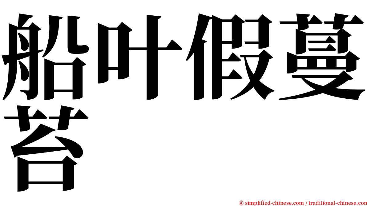 船叶假蔓苔 serif font