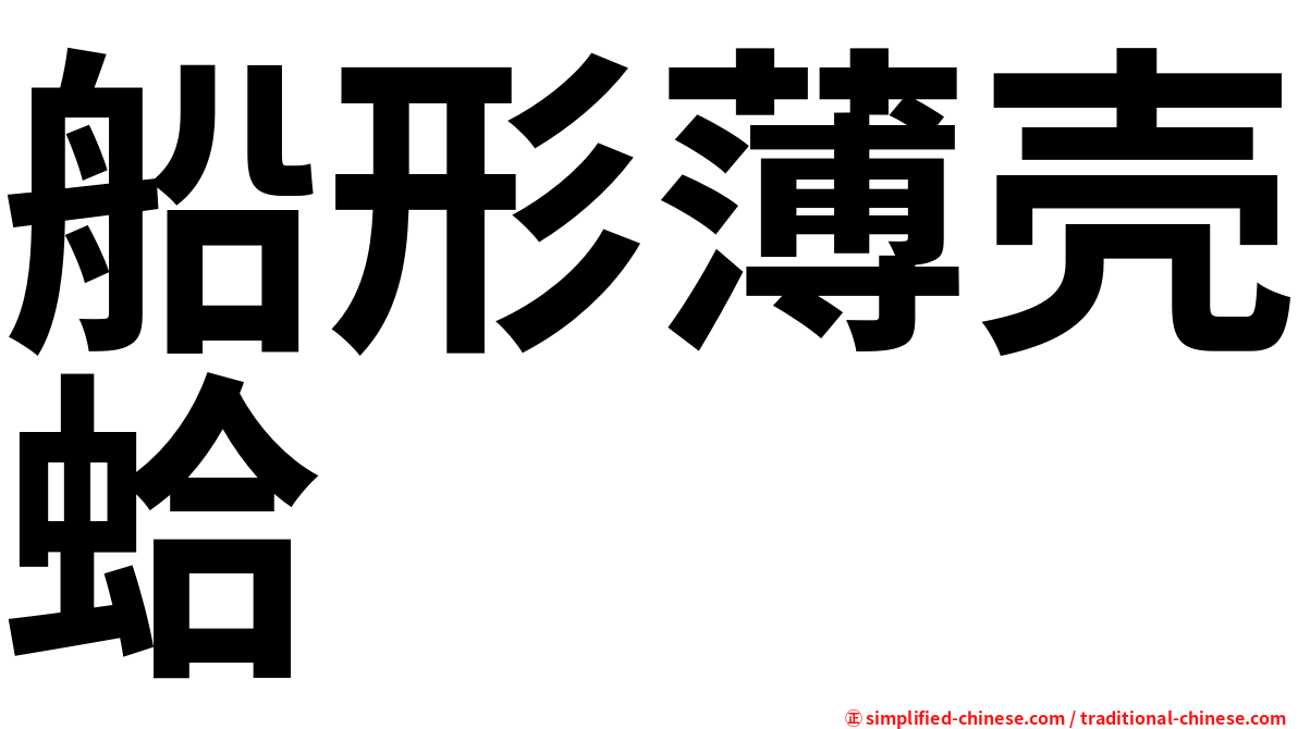 船形薄壳蛤