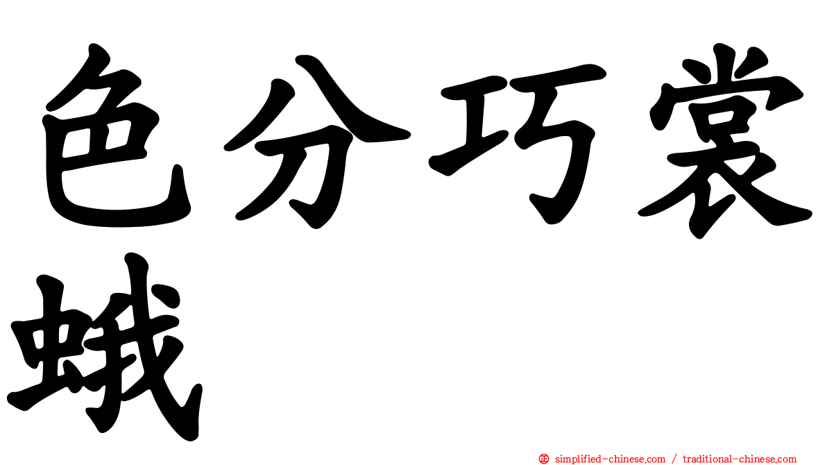 色分巧裳蛾