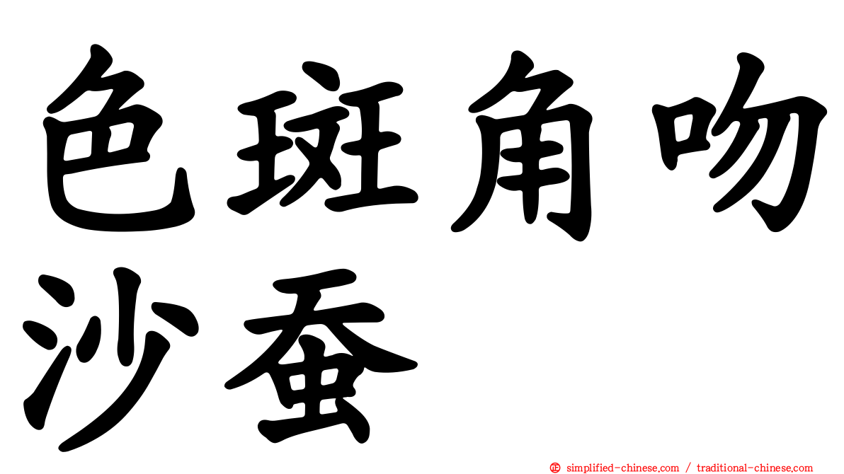 色斑角吻沙蚕