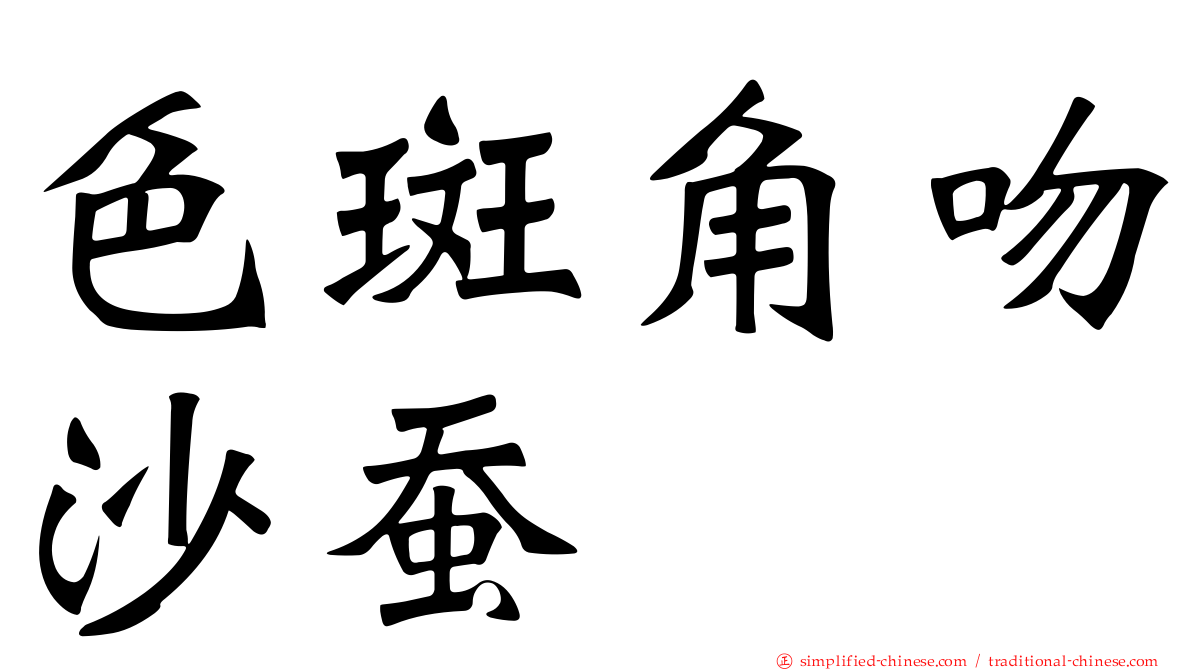 色斑角吻沙蚕