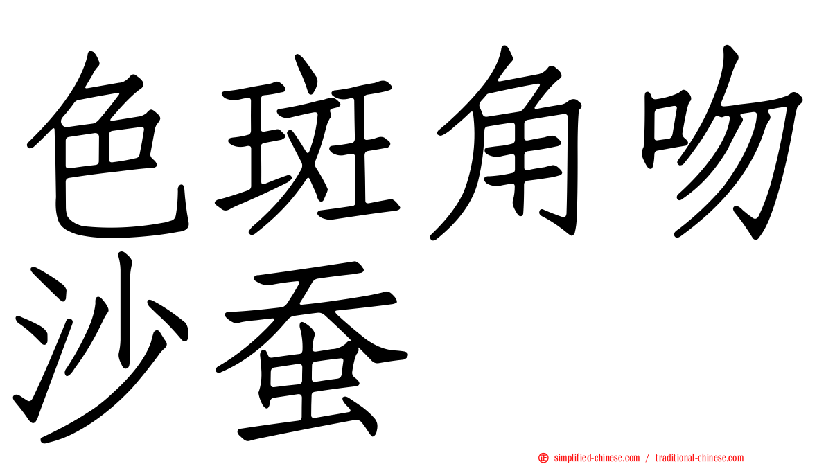 色斑角吻沙蚕