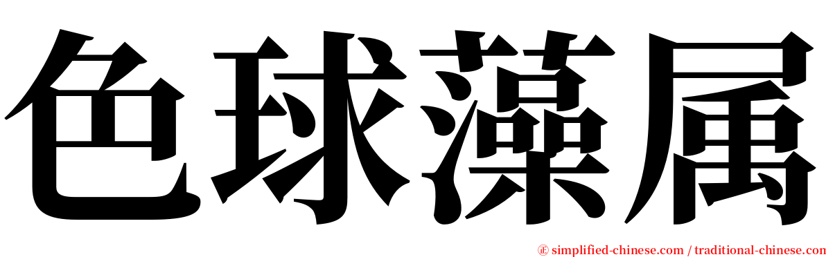 色球藻属 serif font