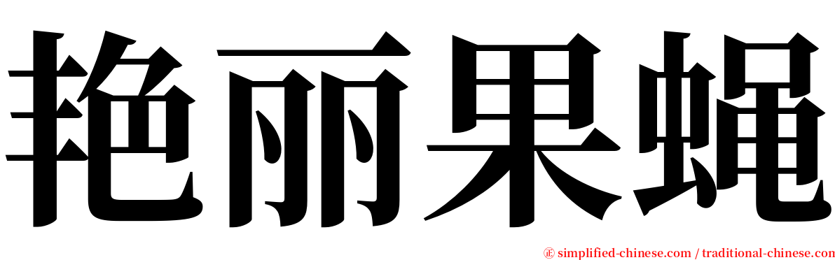 艳丽果蝇 serif font