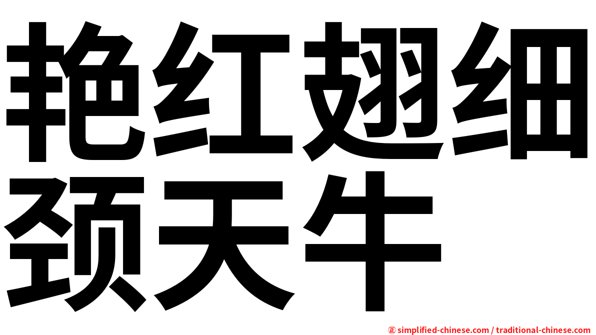 艳红翅细颈天牛
