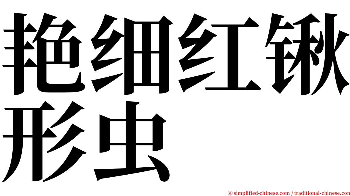 艳细红锹形虫 serif font