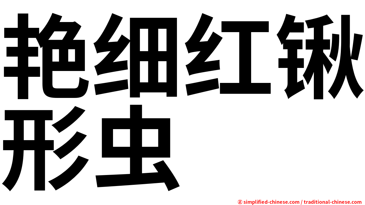 艳细红锹形虫