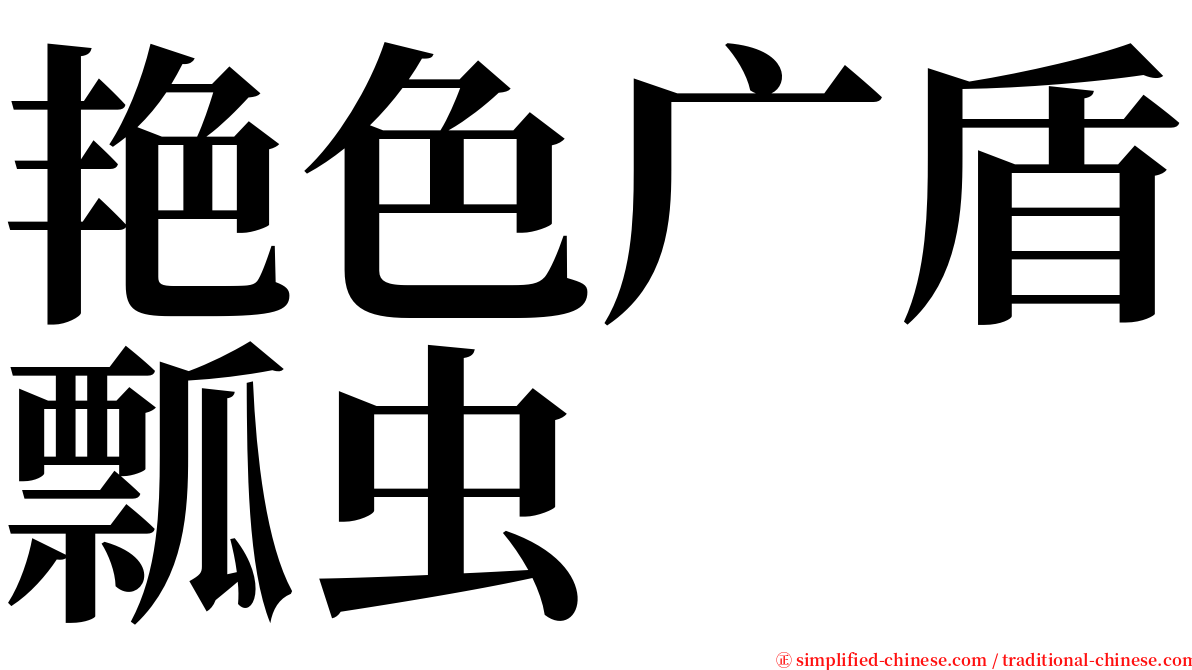 艳色广盾瓢虫 serif font