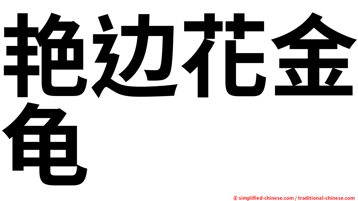 艳边花金龟