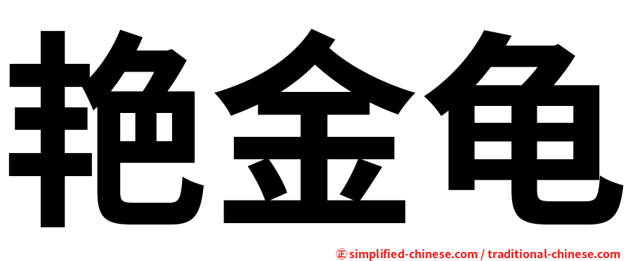 艳金龟