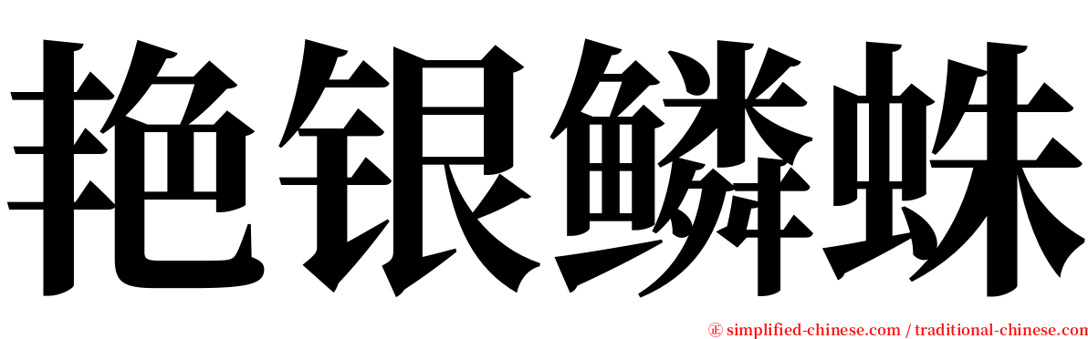 艳银鳞蛛 serif font
